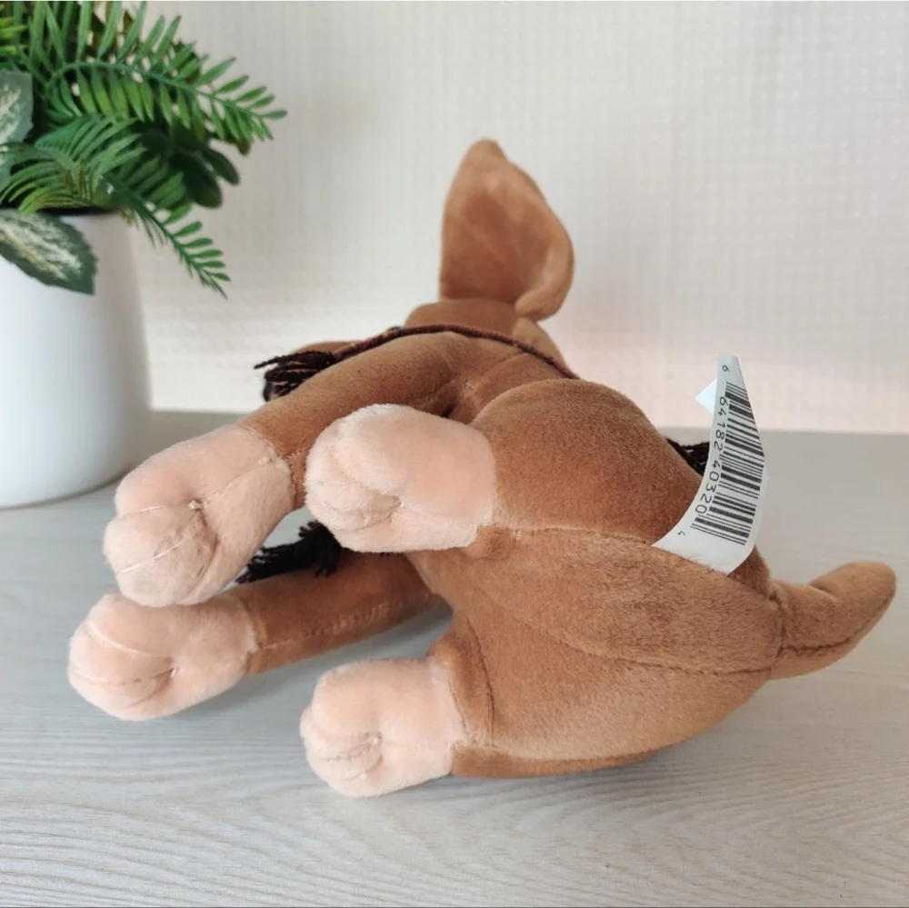 Chihuahua Dog 10